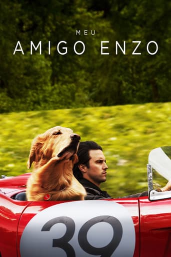 Pôster de Meu Amigo Enzo
