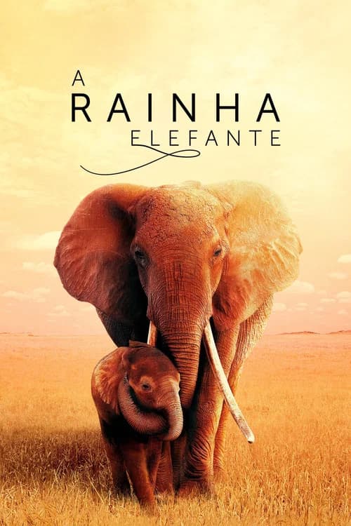 Pôster de The Elephant Queen